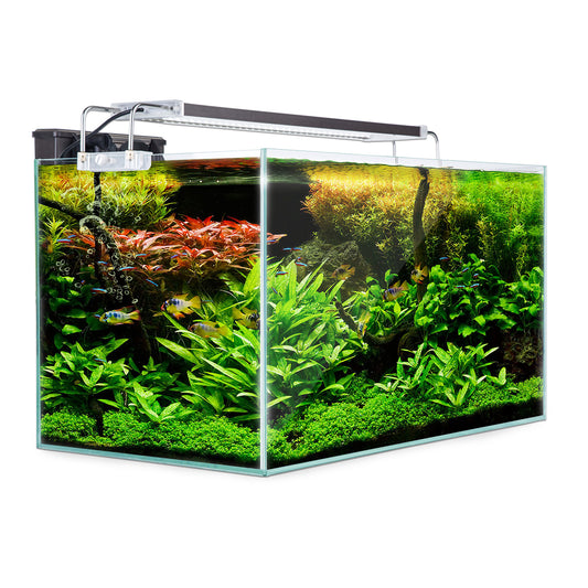 Dynamic Power Aquarium Fish Tank 64L Starfire Glass